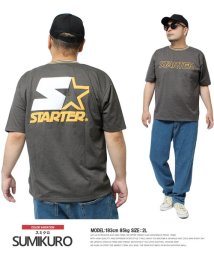 one colors(ワンカラーズ)/ STARTER(スターター) 半袖 Tシャツ メンズ 大きいサイズ ビッグ ロゴ プリント クルーネック カットソー 半袖Tシャツ プリントTシャツ ブランド/ブラック