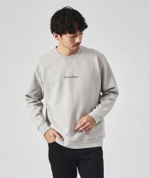 ABAHOUSE(ABAHOUSE)/【Grandeur】シルキーダンボール ロゴ 長袖 Tシャツ/グレージュ