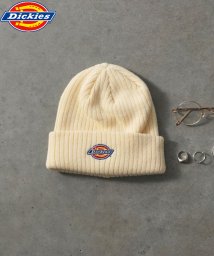 Dickies(Dickies)/Dickies EMB LOGO KNIT WATCH/ﾎﾜｲﾄ