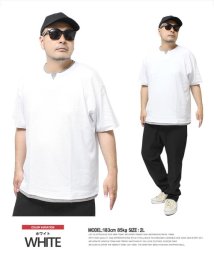 one colors/半袖 Tシャツ メンズ 大きいサイズ キーネック テレコ 無地 フェイクレイヤード クルーネック カットソー  ヘンリーネック Vネック 半袖Tシャツ トップス/505495282