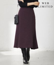 J.PRESS LADIES（LARGE SIZE）/【WEB限定・洗える】フェミニッシュパウダー dots スカート/505504063