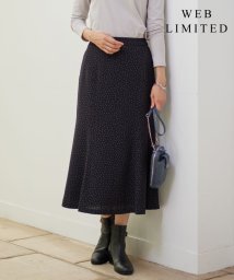 J.PRESS LADIES（LARGE SIZE）(J．プレス　レディス（大きいサイズ）)/【WEB限定・洗える】フェミニッシュパウダー dots スカート/ブラック系5