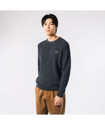 LACOSTE Mens(ラコステ　メンズ)/ヘザーカラーリングワッフルニット/ネイビー