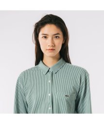 LACOSTE(ラコステ)/ジャージニットストライプシャツ/グリーン