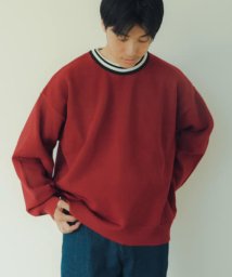 ITEMS URBANRESEARCH(アイテムズアーバンリサーチ（メンズ）)/衿ライン メッシュクルーネック プルオーバー/RED