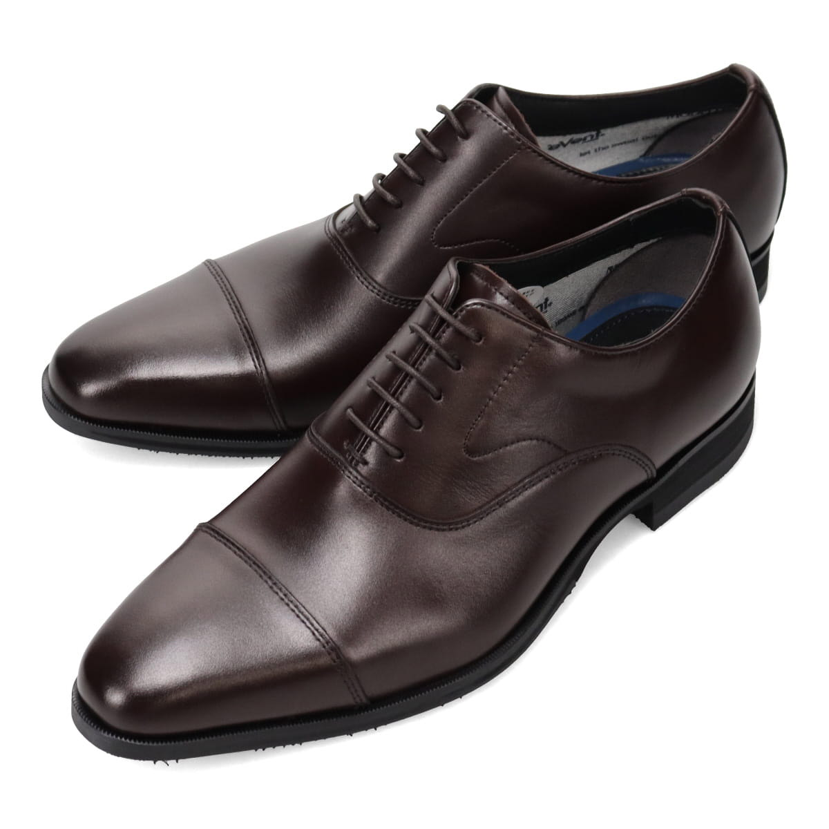 ときかけエオリア Foxtail-Grass Studio Foxtail-Grass Studio ときかけエオリア 【公式通販】