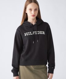 TOMMY HILFIGER/レギュラーモノタイプエンブロイダリーパーカー/505495217