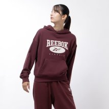 Reebok/ビック ロゴ フーディー / CL AE BIG LOGO FT HOODIE /505506172