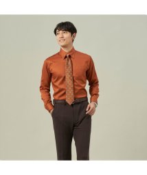 TOKYO SHIRTS/形態安定 スナップダウンカラー 綿100% 長袖 ワイシャツ/505520236