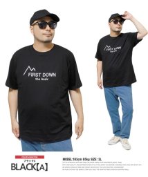 one colors(ワンカラーズ)/FIRST DOWN(ファーストダウン) 半袖 Tシャツ メンズ 大きいサイズ ロゴ プリント クルーネック カットソー プリントTシャツ 半袖Tシャツ おおき/ブラック