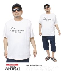 one colors/FIRST DOWN(ファーストダウン) 半袖 Tシャツ メンズ 大きいサイズ ロゴ プリント クルーネック カットソー プリントTシャツ 半袖Tシャツ おおき/505520627