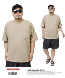 one colors(ワンカラーズ)/半袖 Tシャツ メンズ 大きいサイズ 快適 ストレッチ 吸汗速乾 ドライ ポケット付き 柔らか素材 無地 クルーネック カットソー 吸水速乾 半袖Tシャツ 黒 /ベージュ