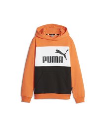 PUMA(プーマ)/キッズ ボーイズ ESS+ カラーブロック フーディー 120－160cm/HOTHEAT