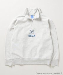 JOURNAL STANDARD(ジャーナルスタンダード)/【UCLA for JOURNAL STANDARD】別注 ハーフジップスウェット/グレーA