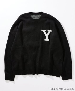 JOURNAL STANDARD/【YALE for JOURNAL STANDARD】別注 クルーネックニット/505572261