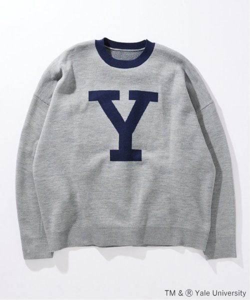 JOURNAL STANDARD(ジャーナルスタンダード)/【YALE for JOURNAL STANDARD】別注 クルーネックニット/グレーB