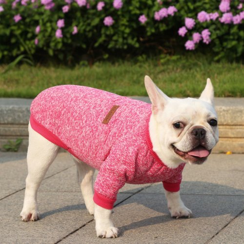 BACKYARD FAMILY(バックヤードファミリー)/犬服 ペット服 可愛い 秋冬 petweardm13/ピンク