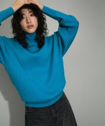 ADAM ET ROPE'(アダム　エ　ロペ)/【WEB限定】WOOL混リブタートルニット/ブルー系（45）