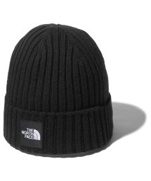 THE NORTH FACE/Cappucho Lid (カプッチョリッド)/505577852
