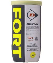 DUNLOP/D>FORT E YL (2) TIN/505578293