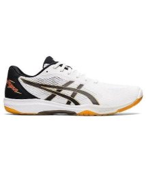 ASICS/ROTE JAPAN LYTE FF 2/505578848