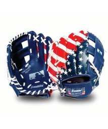 FRANKLIN/9.5インチ　MLB　USAグローブ/505579212