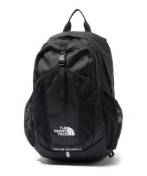 THE NORTH FACE/RECON SQUASH 2 (リーコンスカッシュ2)/505580052