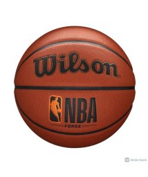 Wilson/NBA FORGE BSKT SZ5/505580454