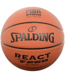 SPALDING/リアクト TF－250/505583693