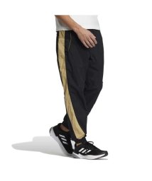 adidas/ワーディング ウーブン パンツ / M WORDING WOVEN PANTS/505584548