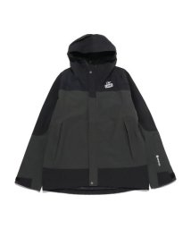 CHUMS/Spring Dale Gore－Tex Jacket (スプリングデール ゴアテックス ジャケット)/505586497