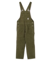 CHUMS/All Over The Corduroy Overall (オールオーバー ザ コーデュロイ オーバーオール)/505586624