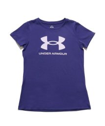 UNDER ARMOUR/UA TECH BIG LOGO TEE/505587715