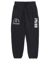 UNDER ARMOUR/UA PROJECT ROCK HW TERRY PANTS/505587737