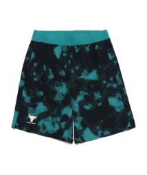 UNDER ARMOUR/UA PJT ROCK PRINTED WVN SHORT/505589160