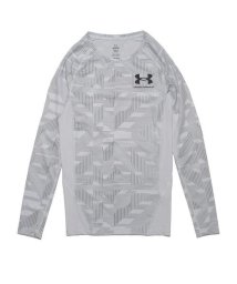 UNDER ARMOUR/UA ISO－CHILL COMPRESSION LONG SLEEVE NOVELTY/505589169