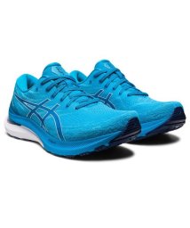 ASICS/GEL－KAYANO 29/505589613