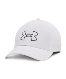 UNDER ARMOUR/UA STORM DRIVER CAP/505590156