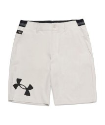 UNDER ARMOUR/UA DRIVE LOGO SHORT/505590196