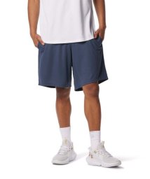 UNDER ARMOUR/UA BASELINE BIG LOGO SHORTS/505590234