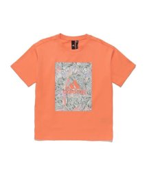 Adidas/W BOS ボタニカル グラフィック Tシャツ/505591318