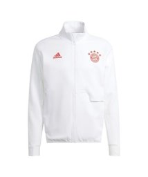 adidas/FCバイエルン アンセムジャケット/505594196