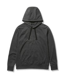 THE NORTH FACE/COLOR HEATHERED SWEAT HOODIE(カラーヘザードスウェットフーディー)/505594400