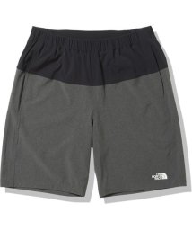 THE NORTH FACE/FLEXIBLE SHORT(フレキシブショーツ)/505594829