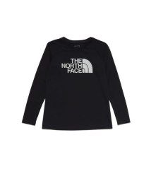 THE NORTH FACE/L/S GTD LOGO CREW(ロングスリーブGTDロゴクルー)/505594864