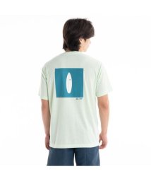 QUIKSILVER/PB IMPACT SS/505595715