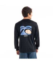 QUIKSILVER/ARTS IN PALM LS/505595744