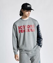 Munsingwear/【Web限定】【ENVOY｜3Colors Penguin Logo】裏毛ジャージクルーネックスエットシャツ【アウトレット】/505600434