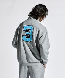 Munsingwear/【Web限定】【ENVOY｜3Colors Penguin Logo】裏毛ジャージハーフジップスエットシャツ【アウトレット】/505600435