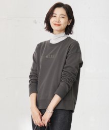 J.PRESS LADIES(J．プレス　レディス)/ロゴ 裏毛 カットソー/グレー系